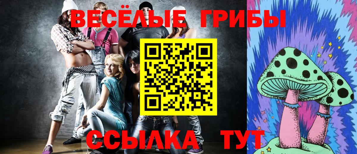 наркошоп  Вход с VPN  Тайшет  Псилоцибиновые грибы GOLDEN TEACHER 